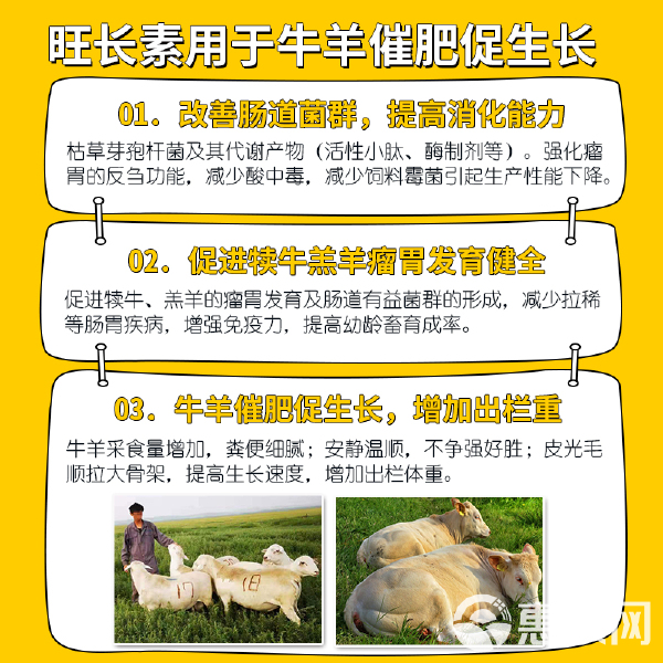 天降甘霖草木盛,牛肥羊壮家畜旺是什么生肖的警惕虚假宣传-全面释义、解释与落实、深度解答解释落实