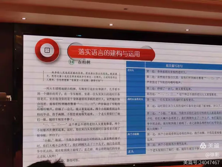 马走牛来是时机不为小利误前途是什么生肖,警惕虚假宣传落实,前沿解答解释落实