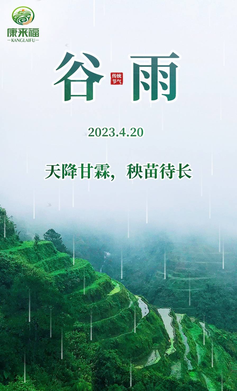 天降甘霖草木盛,牛肥羊壮家畜旺是什么生肖详细解答、解释与落实、全面解答解释落实