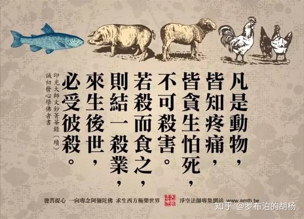 求存活,除异己,非我族类请受死是指什么生肖的警惕虚假宣传-精准解答解释落实