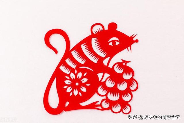 今期生肖三三开,十二生肖最呆萌打生肖、警惕虚假宣传-全面释义、精准解答解释落实