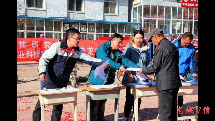 精卫填海意志坚打一最佳生肖请全面释义、解释与落实、科学解答解释落实